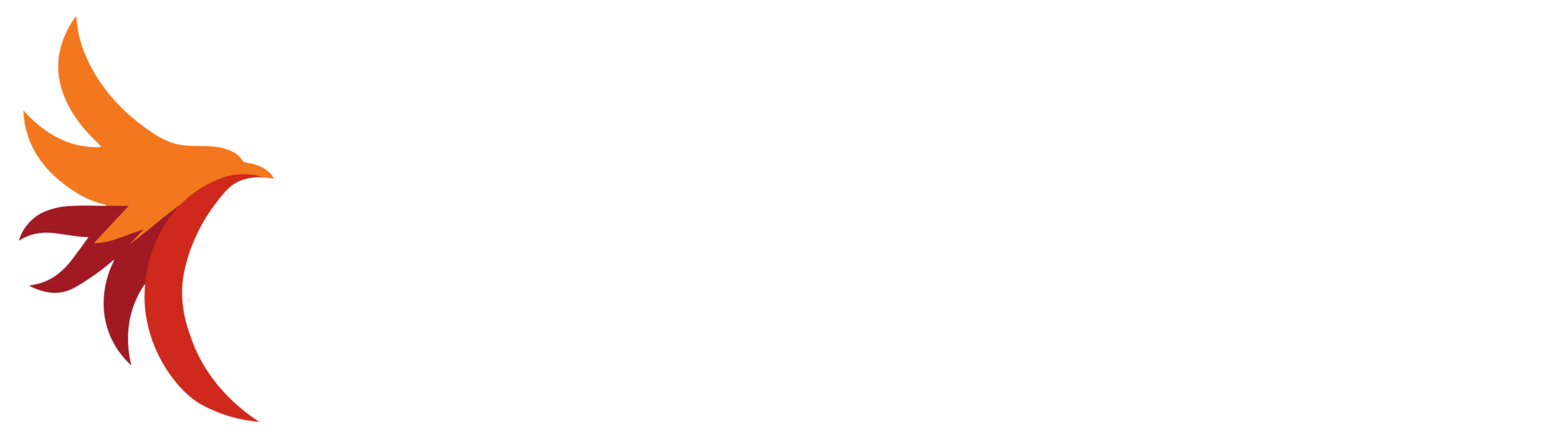 Grupo Definitivo